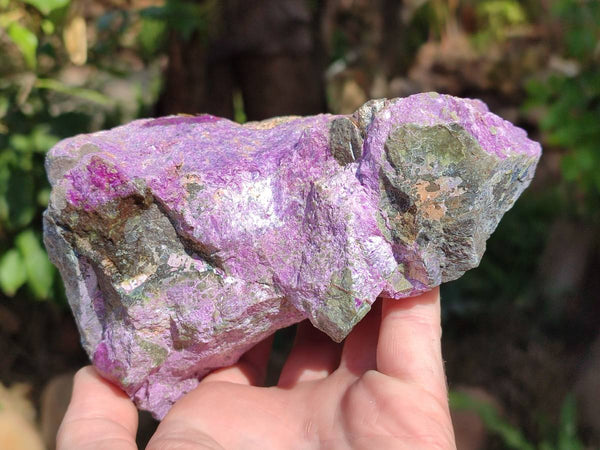 Natural Stichtite Specimens x 4  From Barberton, South Africa