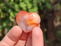 Polished Carnelian Agate Hearts x 20 From Madagascar