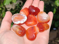 Polished Carnelian Agate Hearts x 20 From Madagascar