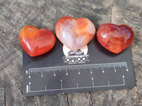 Polished Carnelian Agate Hearts x 20 From Madagascar