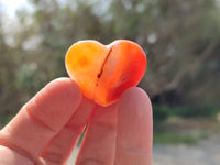 Polished Carnelian Agate Hearts x 20 From Madagascar