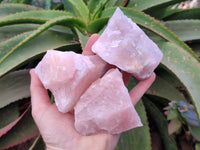 Natural Pink Rose Quartz Cobbed Specimens x 12 From North Cape, South Africa