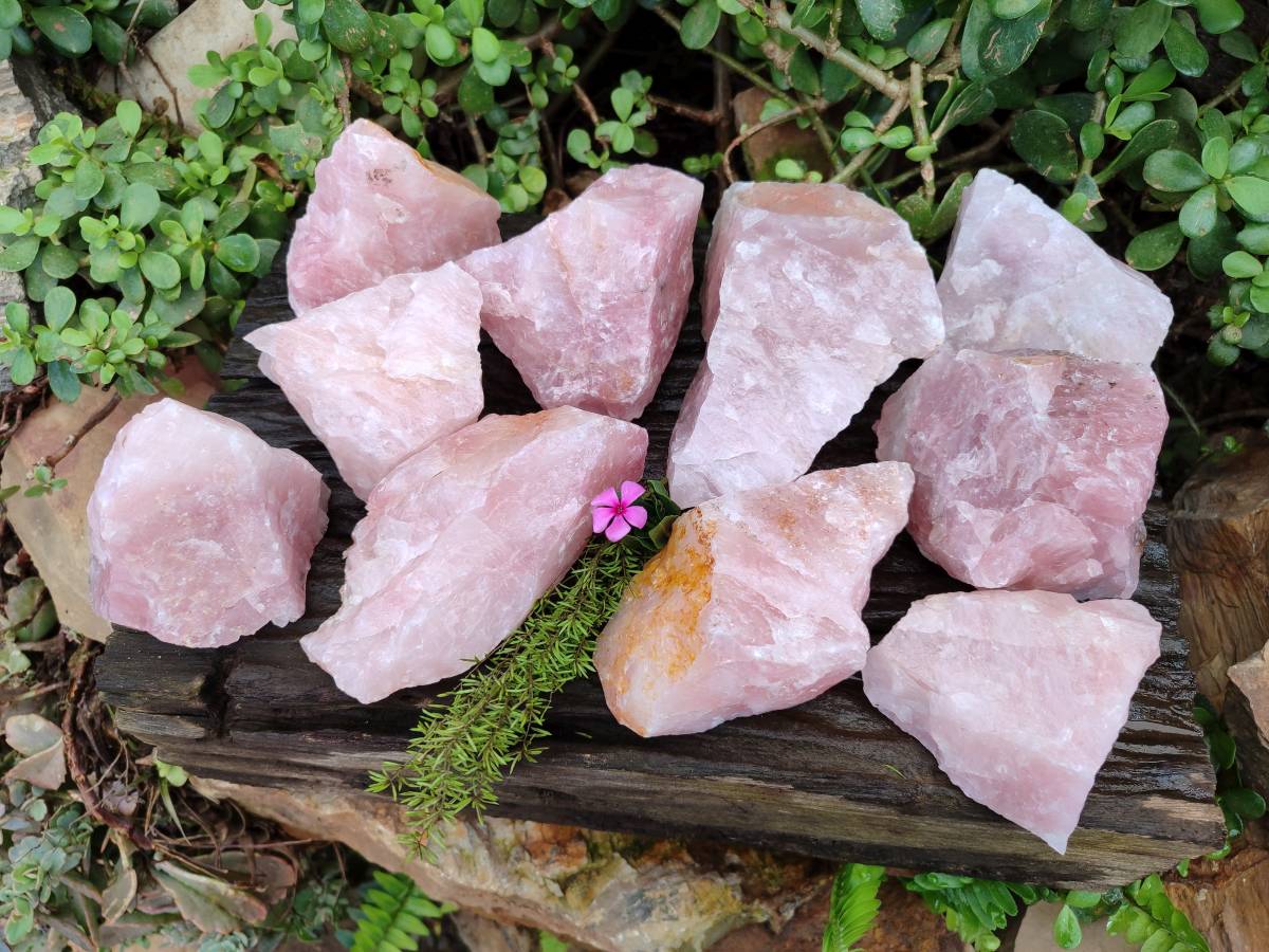 Natural Pink Rose Quartz Cobbed Specimens x 12 From North Cape, South Africa - Toprock Gemstones and Minerals 
