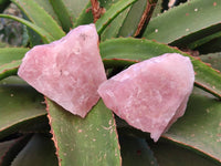 Natural Pink Rose Quartz Cobbed Specimens x 12 From North Cape, South Africa