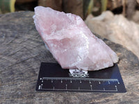 Natural Pink Rose Quartz Cobbed Specimens x 12 From North Cape, South Africa