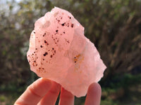 Natural Pink Rose Quartz Cobbed Specimens x 12 From North Cape, South Africa