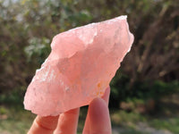 Natural Pink Rose Quartz Cobbed Specimens x 12 From North Cape, South Africa