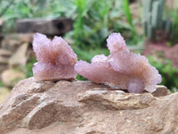 Natural Amethyst Spirit Quartz Crystals x 20 From South Africa
