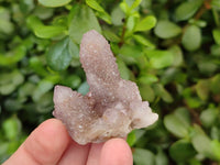 Natural Amethyst Spirit Quartz Crystals x 20 From South Africa
