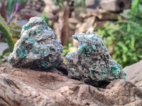 Natural Emerald Mica 'Mutokolite' Specimens x 12 From Mutoko, Zimbabwe