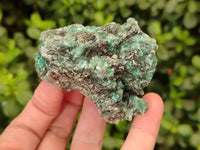 Natural Emerald Mica 'Mutokolite' Specimens x 12 From Mutoko, Zimbabwe