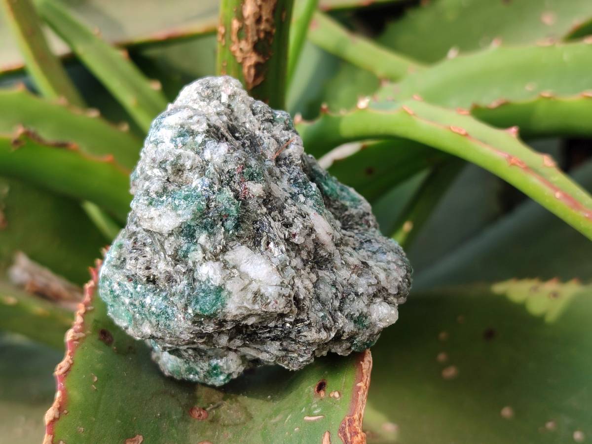 Natural Emerald Mica 'Mutokolite' Specimens x 12 From Mutoko, Zimbabwe - Toprock Gemstones and Minerals 