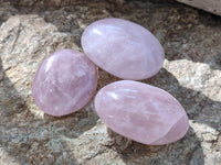Polished Rose Quartz Palm Stones x 12 From Madagascar
