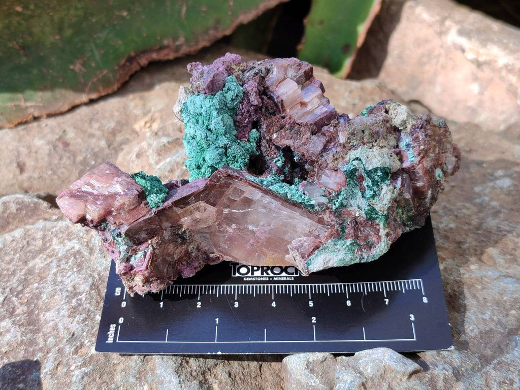 Natural Drusy Salrose on Dolomite Matrix Specimens x 6 From Kakanda, Congo - Toprock Gemstones and Minerals 