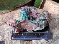 Natural Drusy Salrose on Dolomite Matrix Specimens x 6 From Kakanda, Congo