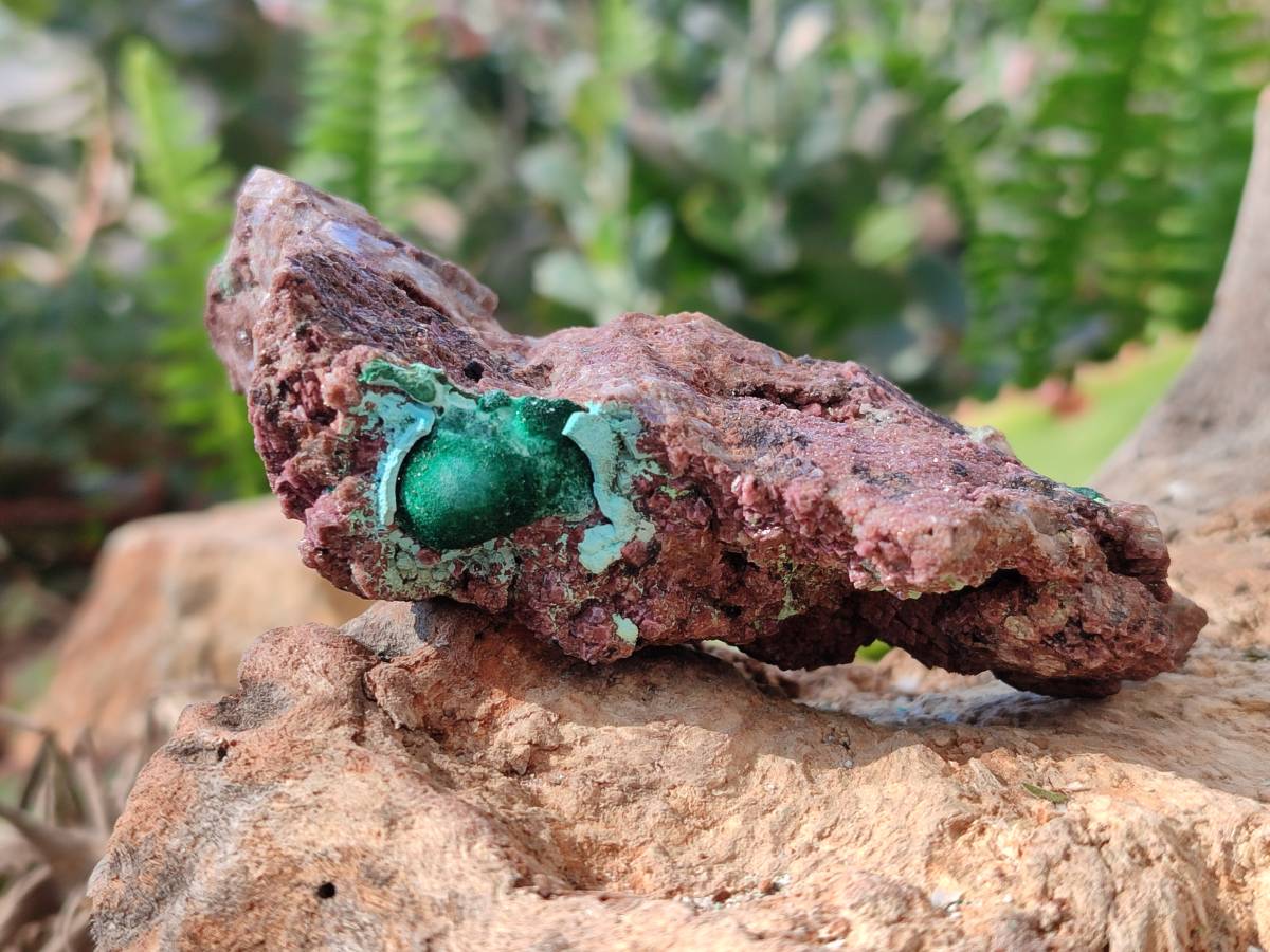 Natural Drusy Salrose on Dolomite Matrix Specimens x 6 From Kakanda, Congo - Toprock Gemstones and Minerals 