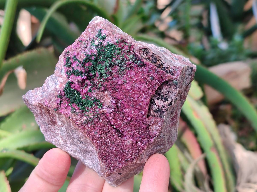 Natural Drusy Salrose on Dolomite Matrix Specimens x 6 From Kakanda, Congo - Toprock Gemstones and Minerals 