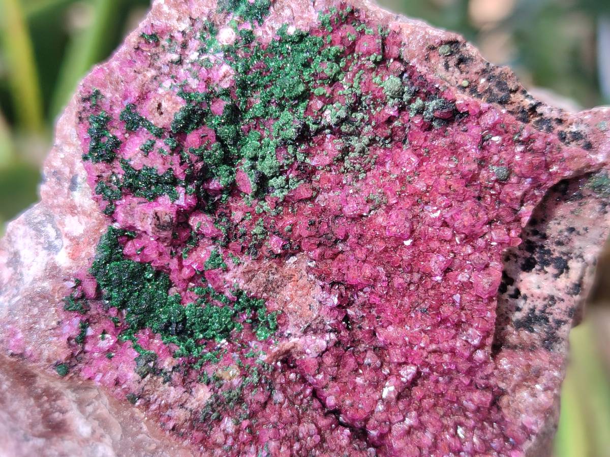 Natural Drusy Salrose on Dolomite Matrix Specimens x 6 From Kakanda, Congo - Toprock Gemstones and Minerals 