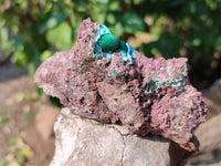 Natural Drusy Salrose on Dolomite Matrix Specimens x 6 From Kakanda, Congo