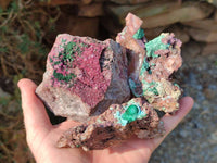 Natural Drusy Salrose on Dolomite Matrix Specimens x 6 From Kakanda, Congo