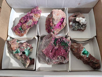 Natural Drusy Salrose on Dolomite Matrix Specimens x 6 From Kakanda, Congo
