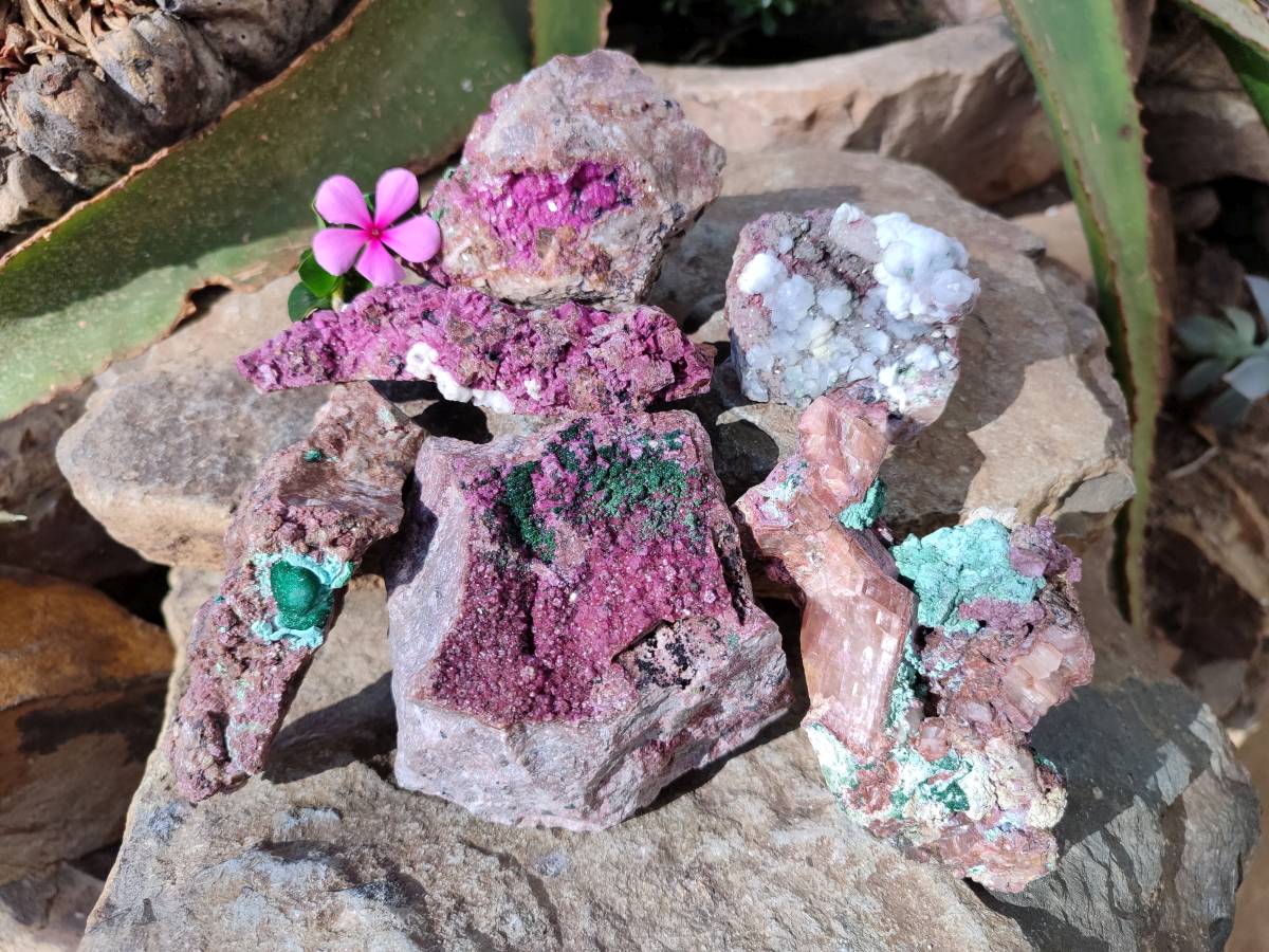 Natural Drusy Salrose on Dolomite Matrix Specimens x 6 From Kakanda, Congo - Toprock Gemstones and Minerals 