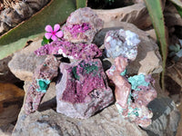 Natural Drusy Salrose on Dolomite Matrix Specimens x 6 From Kakanda, Congo