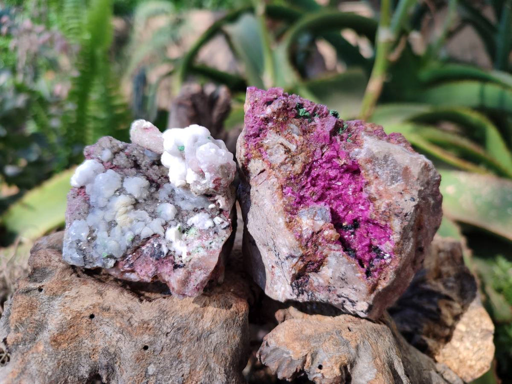 Natural Drusy Salrose on Dolomite Matrix Specimens x 6 From Kakanda, Congo - Toprock Gemstones and Minerals 