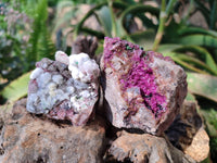 Natural Drusy Salrose on Dolomite Matrix Specimens x 6 From Kakanda, Congo