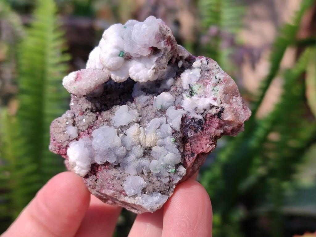 Natural Drusy Salrose on Dolomite Matrix Specimens x 6 From Kakanda, Congo - Toprock Gemstones and Minerals 