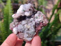 Natural Drusy Salrose on Dolomite Matrix Specimens x 6 From Kakanda, Congo