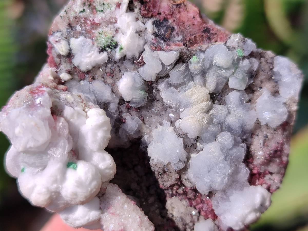 Natural Drusy Salrose on Dolomite Matrix Specimens x 6 From Kakanda, Congo - Toprock Gemstones and Minerals 