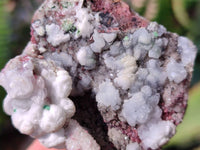 Natural Drusy Salrose on Dolomite Matrix Specimens x 6 From Kakanda, Congo