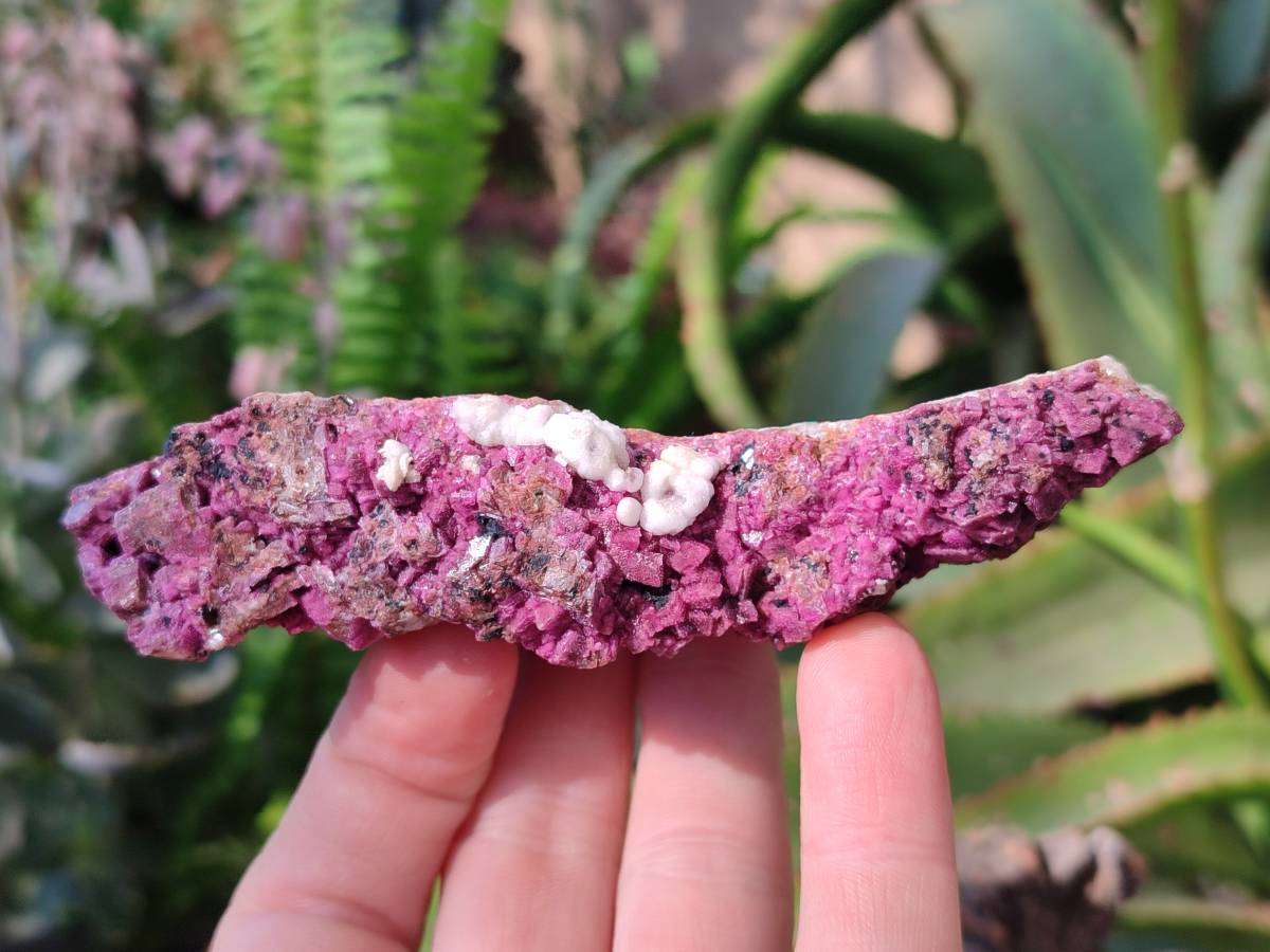 Natural Drusy Salrose on Dolomite Matrix Specimens x 6 From Kakanda, Congo - Toprock Gemstones and Minerals 