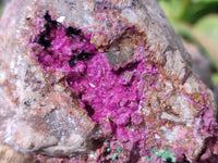 Natural Drusy Salrose on Dolomite Matrix Specimens x 6 From Kakanda, Congo