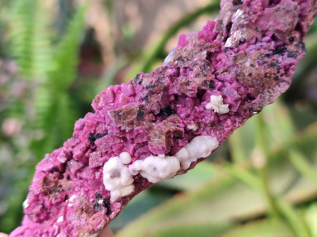 Natural Drusy Salrose on Dolomite Matrix Specimens x 6 From Kakanda, Congo - Toprock Gemstones and Minerals 