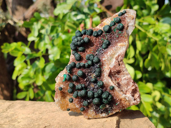 Natural Ball Malachite On Dolomite Matrix Specimens x 2 From Kambove, Congo