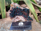 Natural Ball Malachite On Dolomite Matrix Specimens x 2 From Kambove, Congo - Toprock Gemstones and Minerals 