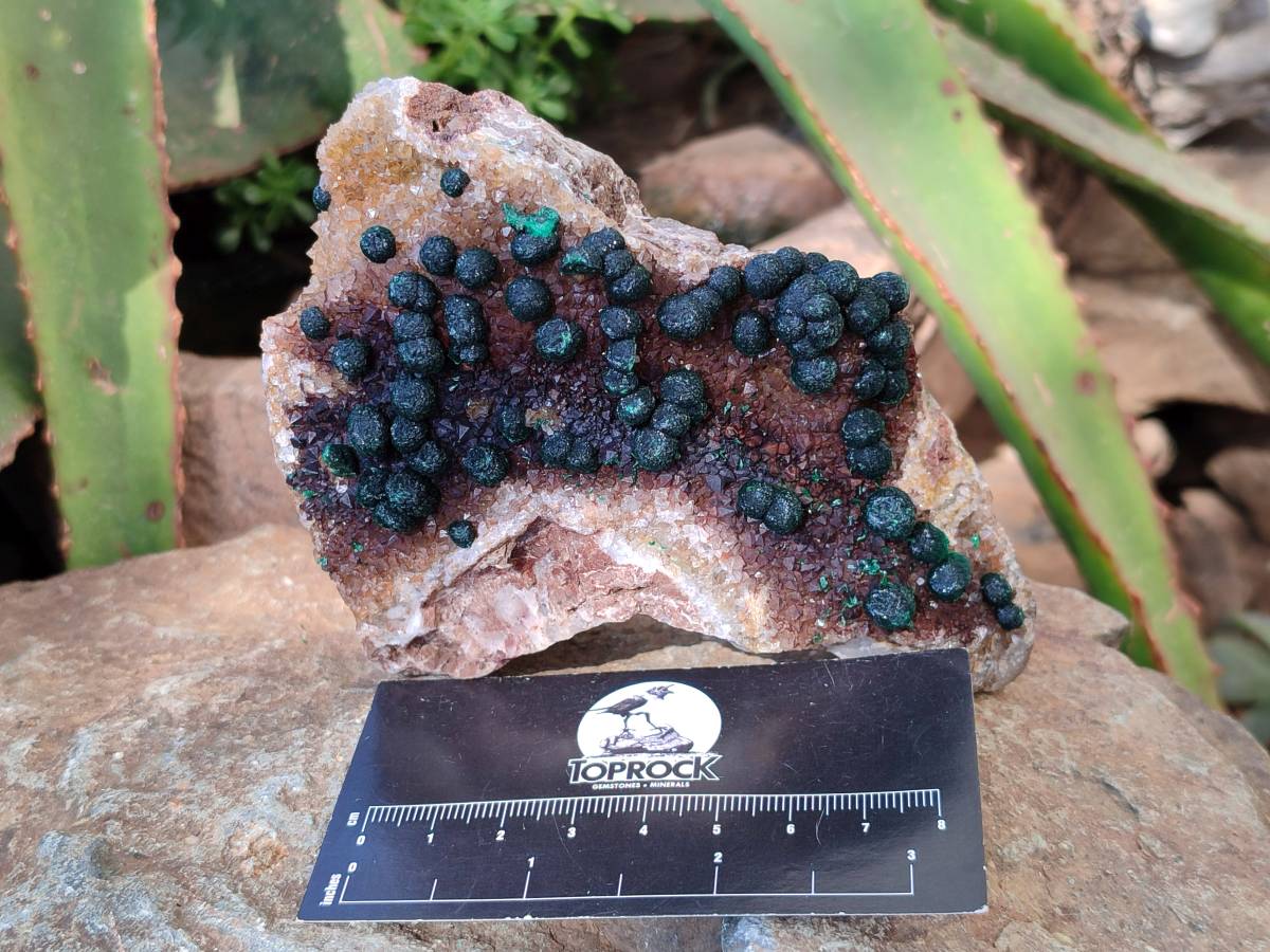 Natural Ball Malachite On Dolomite Matrix Specimens x 2 From Kambove, Congo - Toprock Gemstones and Minerals 
