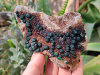 Natural Ball Malachite On Dolomite Matrix Specimens x 2 From Kambove, Congo