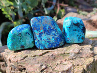 Polished Shattuckite Free Forms x 35 From Congo