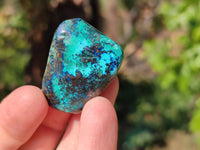 Polished Shattuckite Free Forms x 35 From Congo