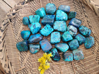 Polished Shattuckite Free Forms x 35 From Congo