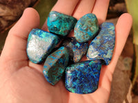 Polished Shattuckite Free Forms x 35 From Congo