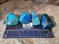 Polished Shattuckite Free Forms x 35 From Congo