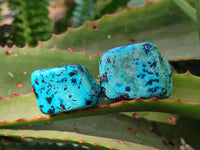Polished Shattuckite Free Forms x 35 From Congo