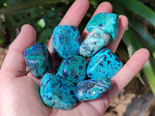 Polished Shattuckite Free Forms x 35 From Congo