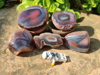 Polished On One Side Red Sashe River Agate Nodules x 24 From Zimbabwe