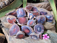 Polished On One Side Red Sashe River Agate Nodules x 24 From Zimbabwe