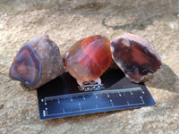Polished On One Side Red Sashe River Agate Nodules x 24 From Zimbabwe
